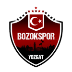 Yozgat Belediyesi Bozokspor kulüp arması